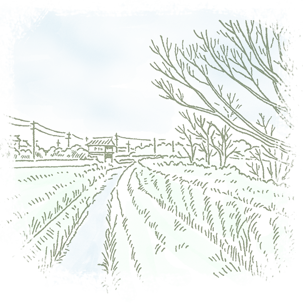 散策の楽しみ方